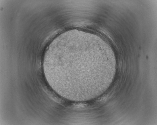 X0000064740407200603131323