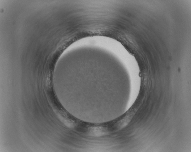 X0000064740408200603131323