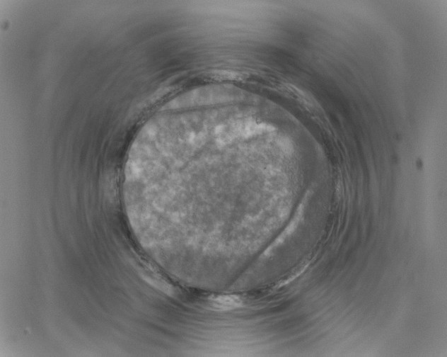 X0000064740409200603131323