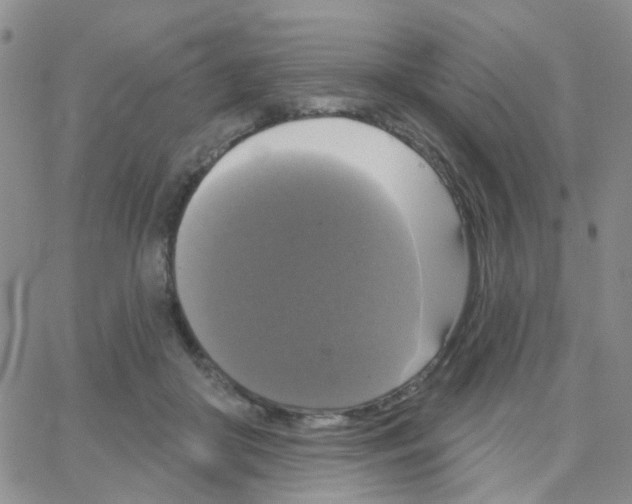 X0000064740410200603131323