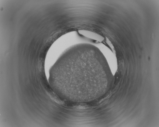 X0000064740412200603131323