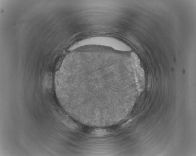 X0000064740413200603131323