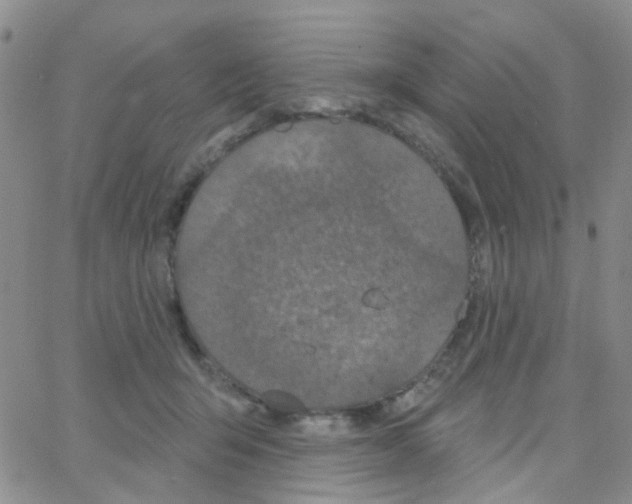 X0000064740415200603131323