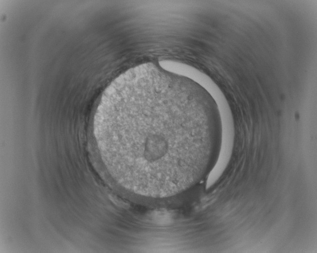 X0000064740416200603131323