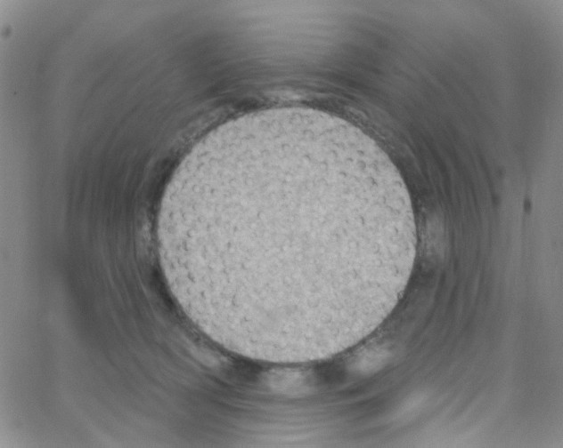 X0000064740418200603131323