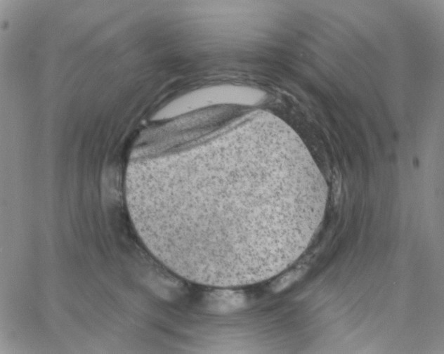 X0000064740421200603131323