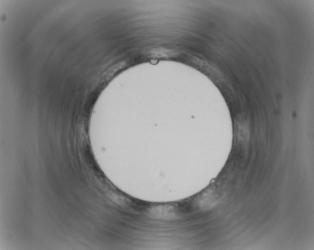 X0000064740422200603131323