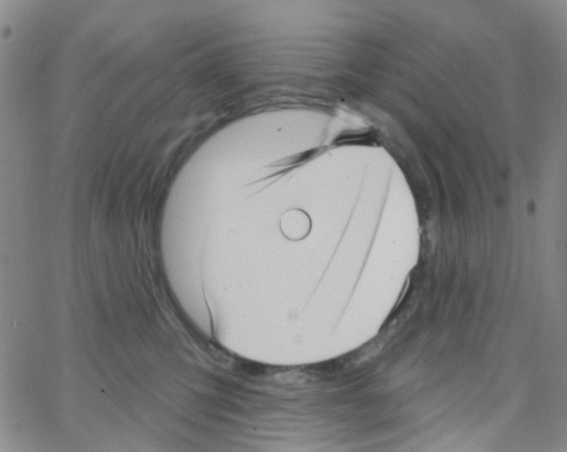 X0000064740423200603131323