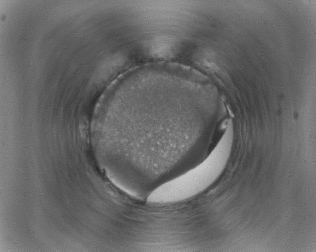 X0000064740424200603131323