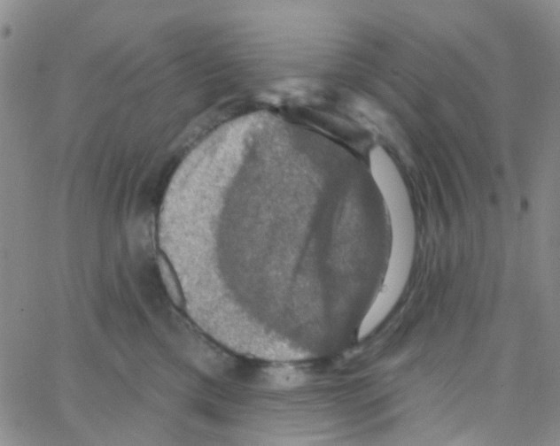 X0000064740425200603131323