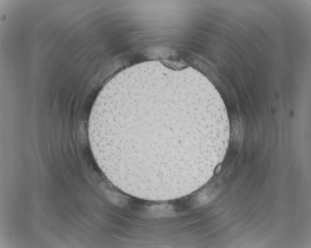 X0000064740426200603131323