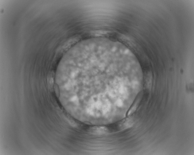 X0000064740427200603131323