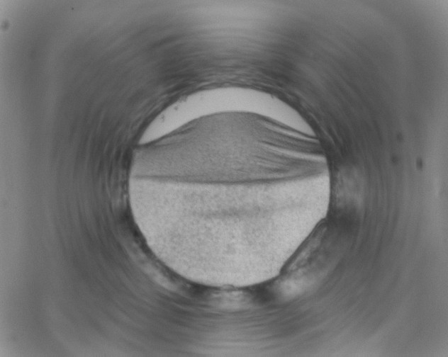 X0000064740428200603131323