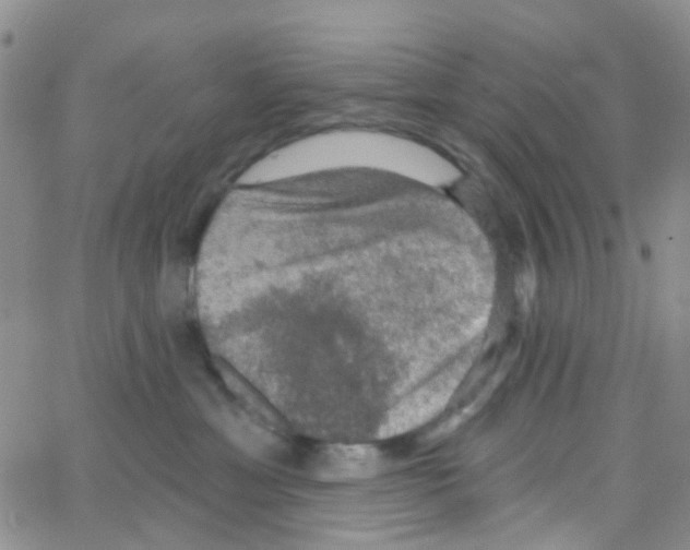 X0000064740429200603131323