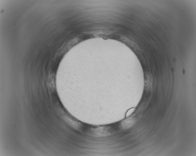 X0000064740430200603131323