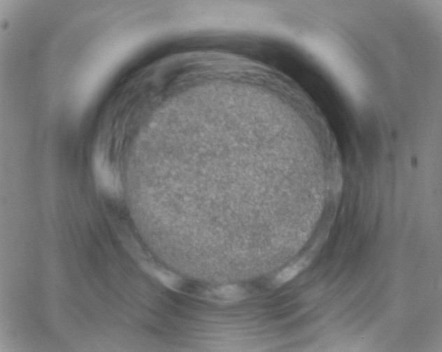 X0000064740431200603131323