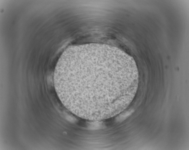 X0000064740432200603131323