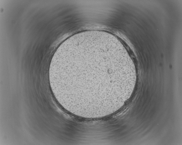 X0000064740433200603131322