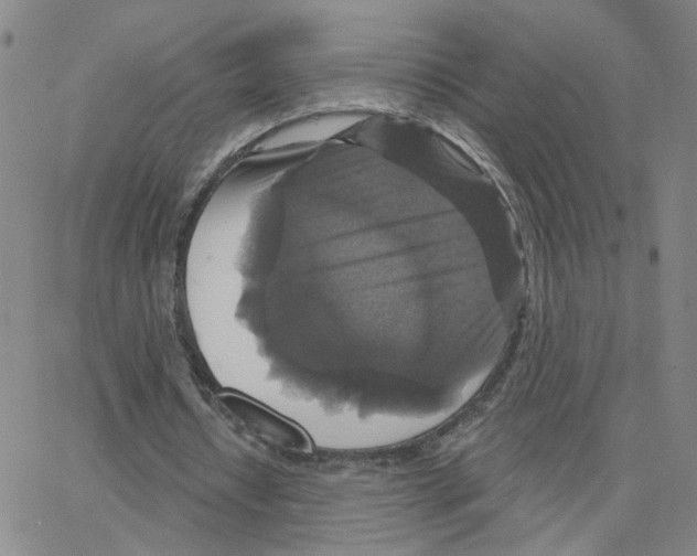 X0000064740434200603131322