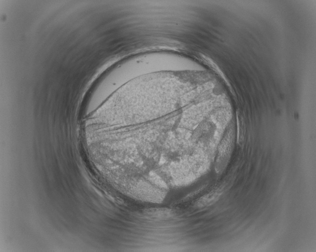 X0000064740435200603131322