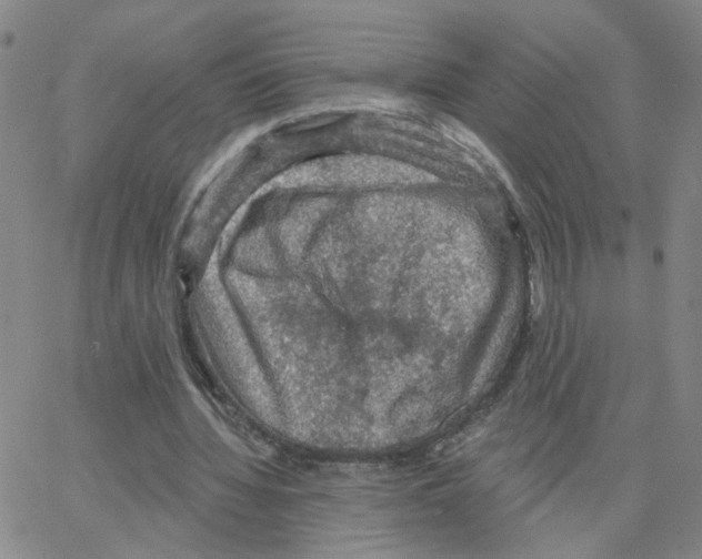 X0000064740436200603131322