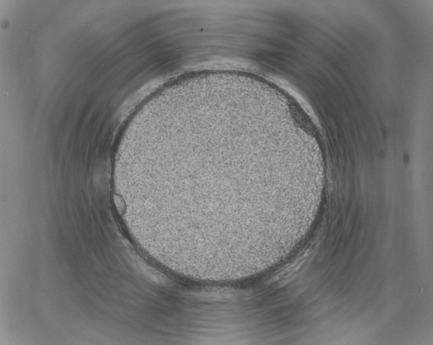 X0000064740437200603131322