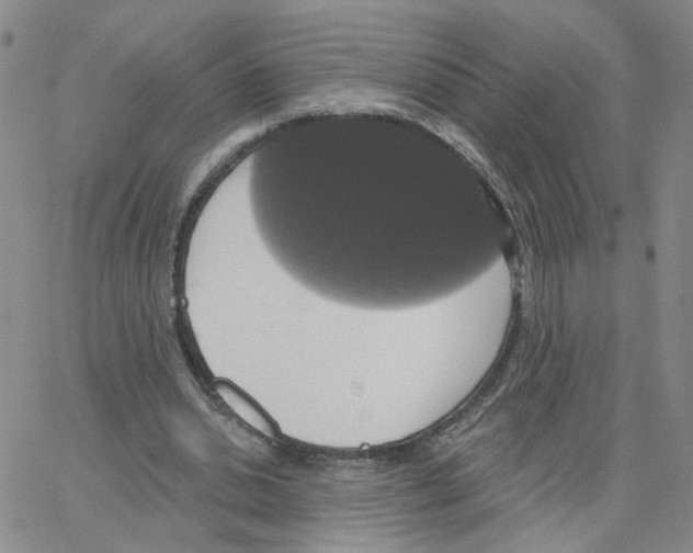 X0000064740438200603131322