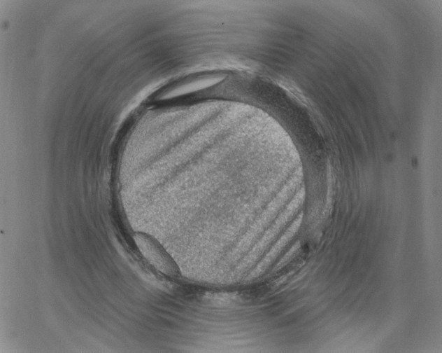 X0000064740440200603131322