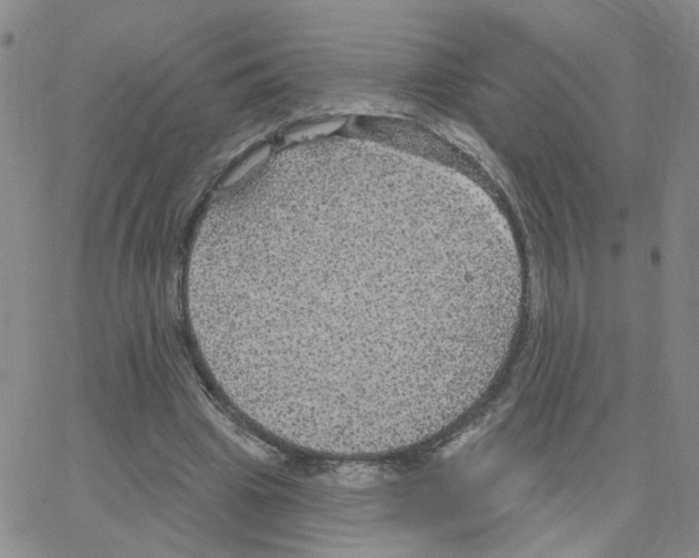 X0000064740441200603131322