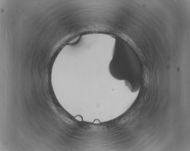 X0000064740442200603131322