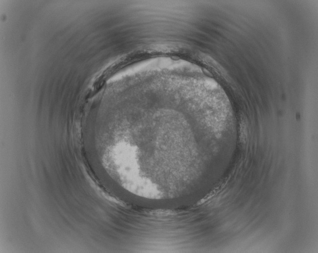 X0000064740444200603131322