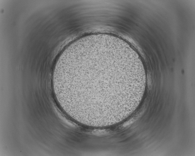 X0000064740445200603131322