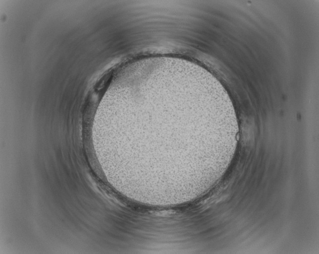 X0000064740446200603131322