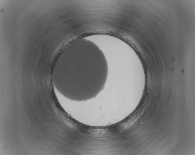 X0000064740449200603131322