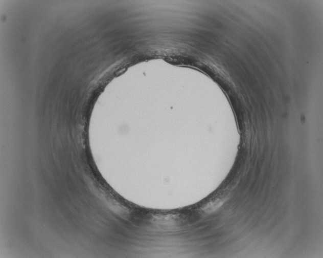 X0000064740450200603131322