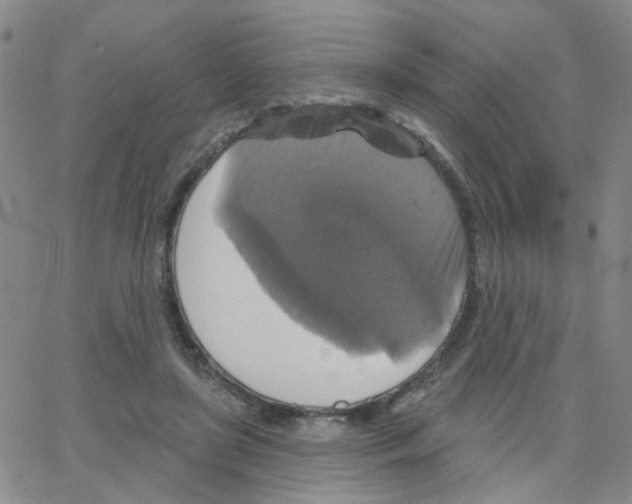 X0000064740451200603131322