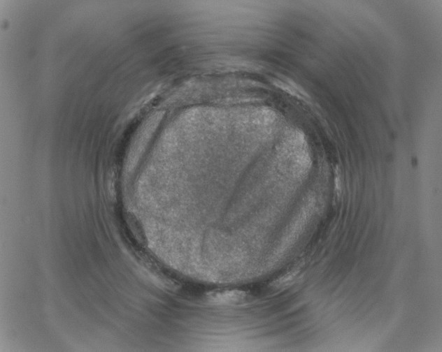 X0000064740452200603131322