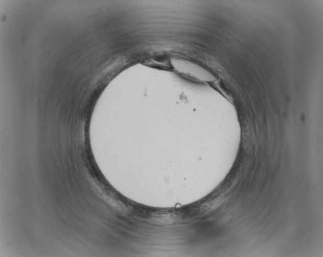 X0000064740454200603131322