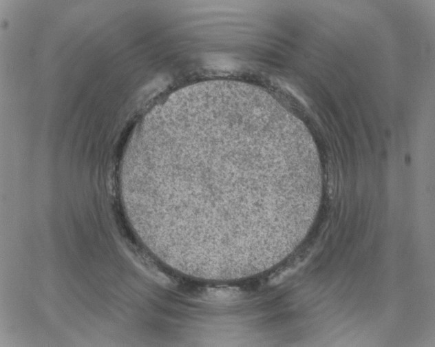 X0000064740455200603131323