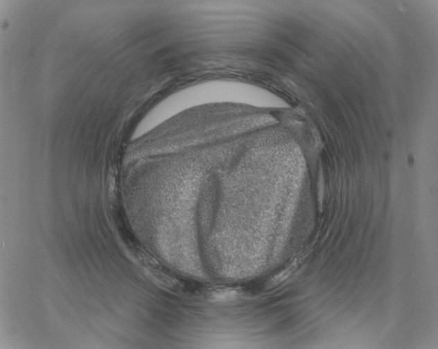 X0000064740456200603131323