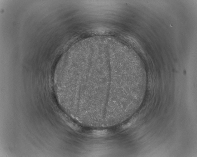 X0000064740457200603131323