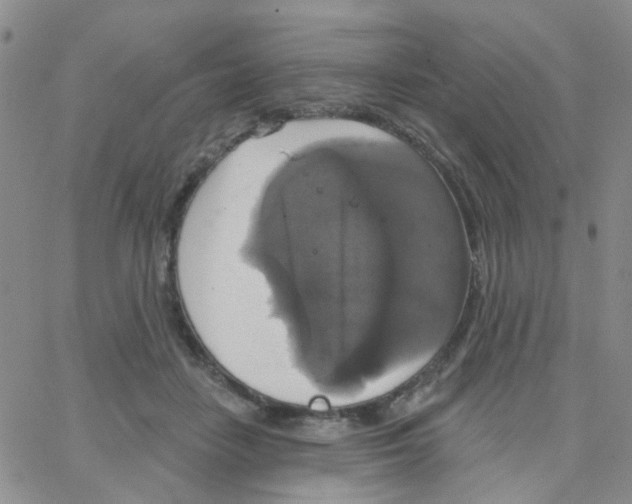 X0000064740458200603131323