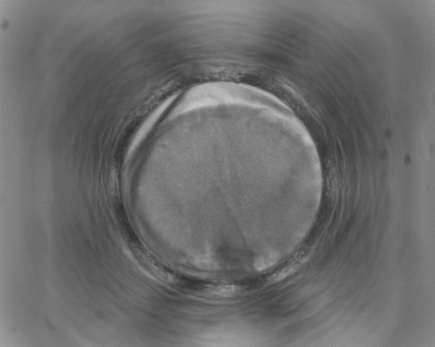 X0000064740459200603131323