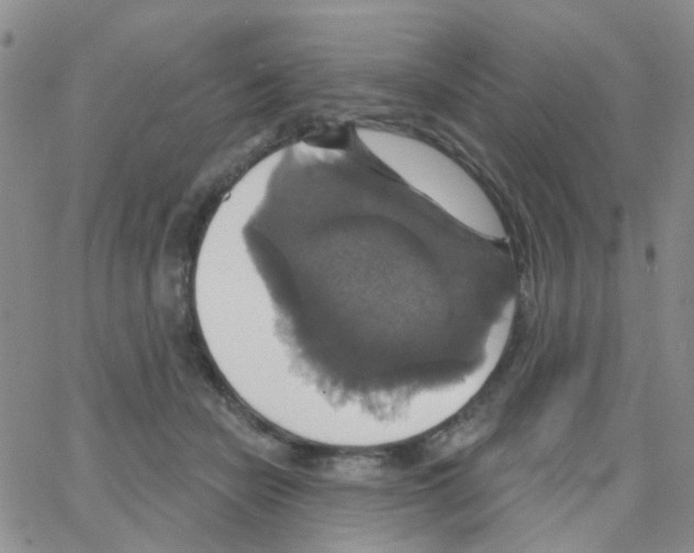 X0000064740462200603131323