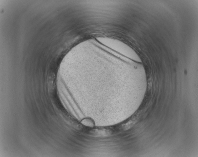 X0000064740464200603131323