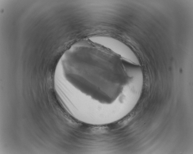 X0000064740465200603131323