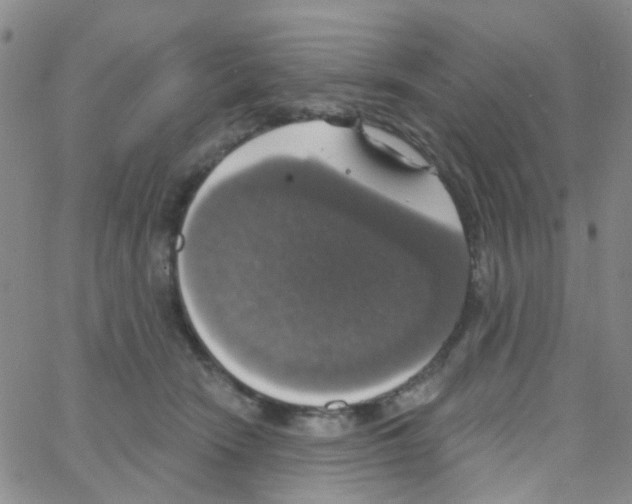 X0000064740466200603131323