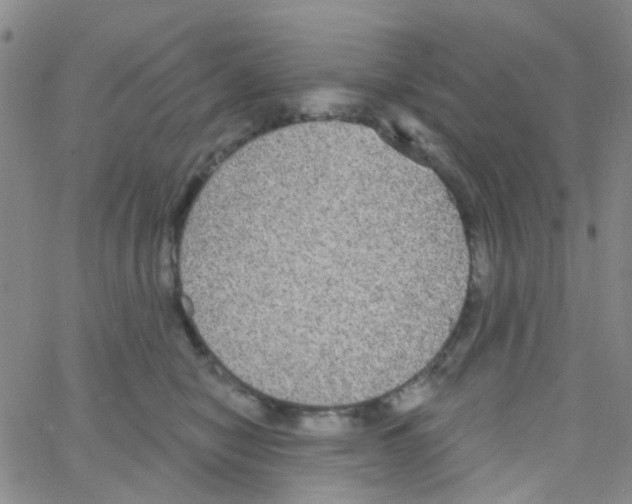 X0000064740470200603131323