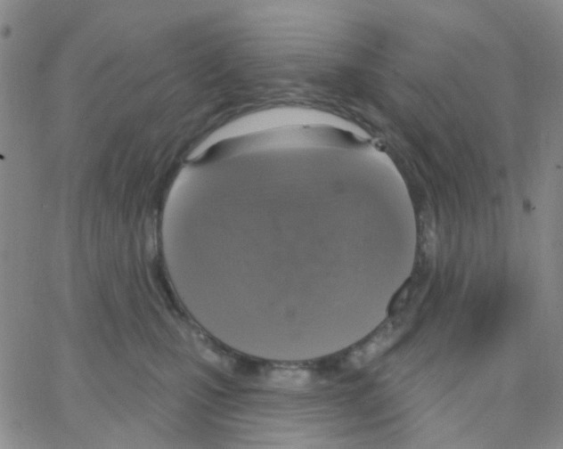 X0000064740471200603131323