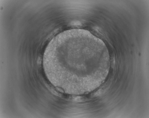 X0000064740472200603131323